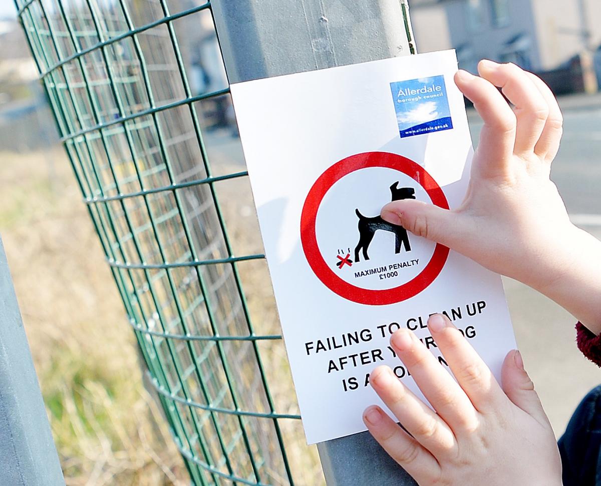 The Worst Areas For Dog Fouling In Basingstoke And Deane Basingstoke Gazette